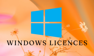 Windows License Key